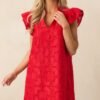 Between The Vines Red Floral Embroidered Mini Dress