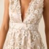 Celebrate With Me Champagne Embroidered Midi Dress