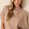 Carolina Plains Beige Knit Mock Neck Top