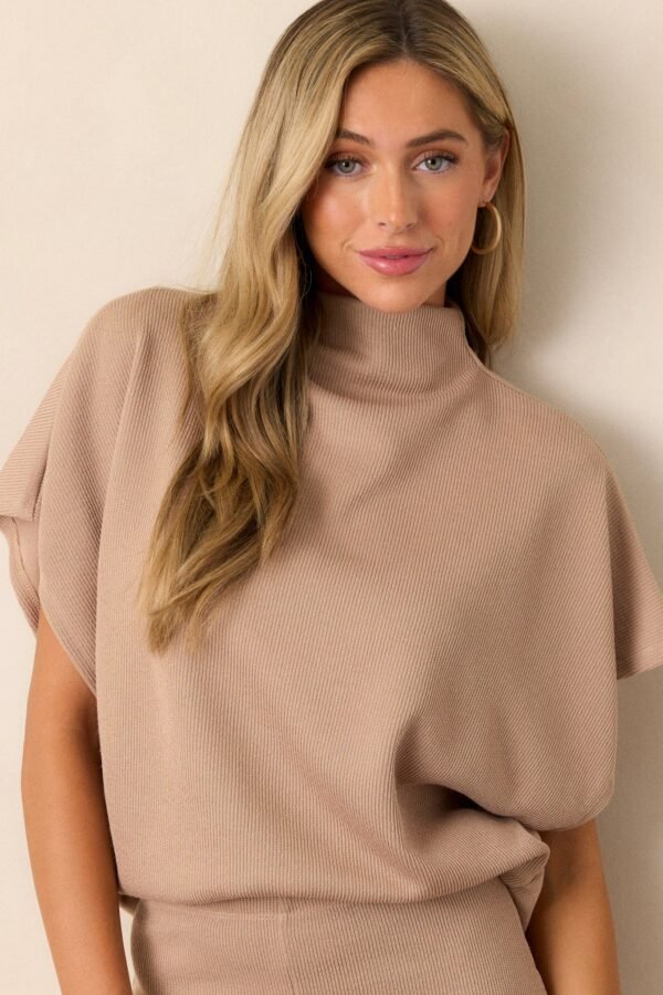Carolina Plains Beige Knit Mock Neck Top
