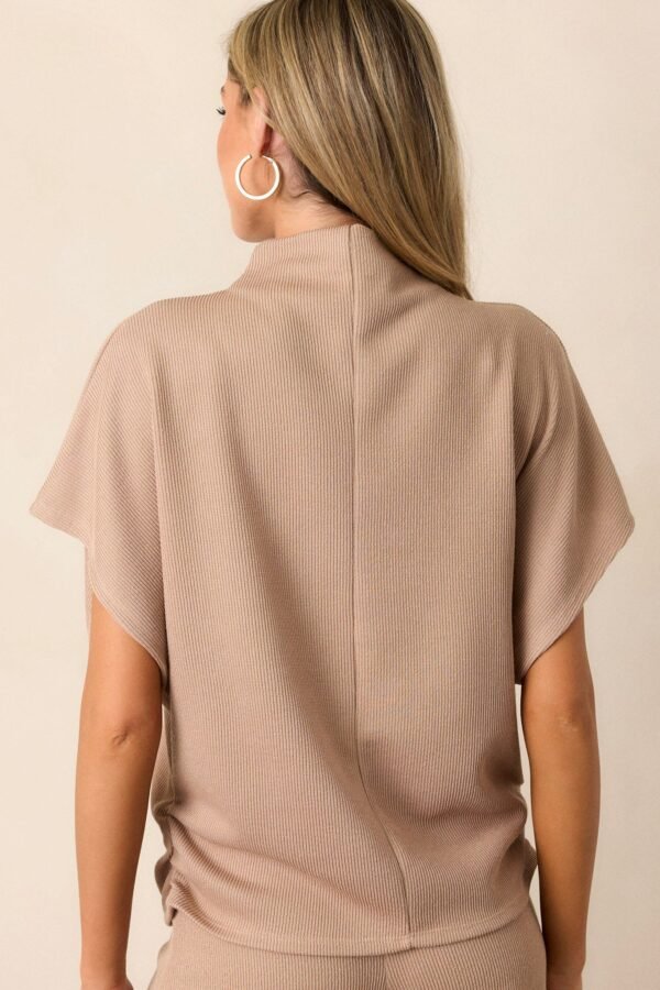Carolina Plains Beige Knit Mock Neck Top