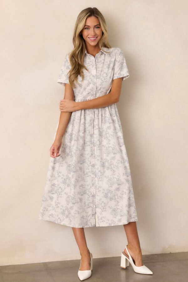 Believe It Cotton Light Grey Toile Maxi Dress